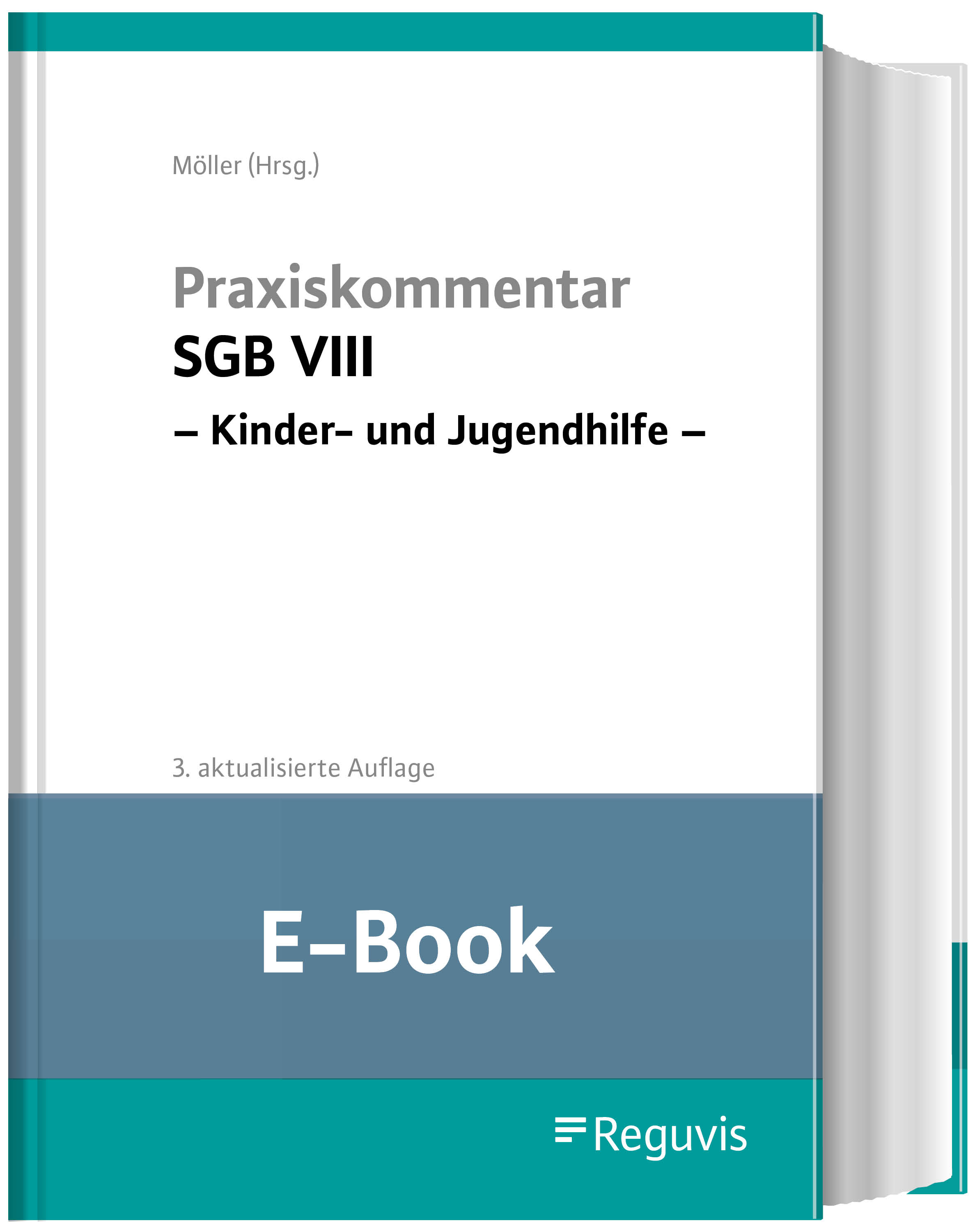 Möller (Hrsg.); Praxiskommentar SGB VIII E-Book