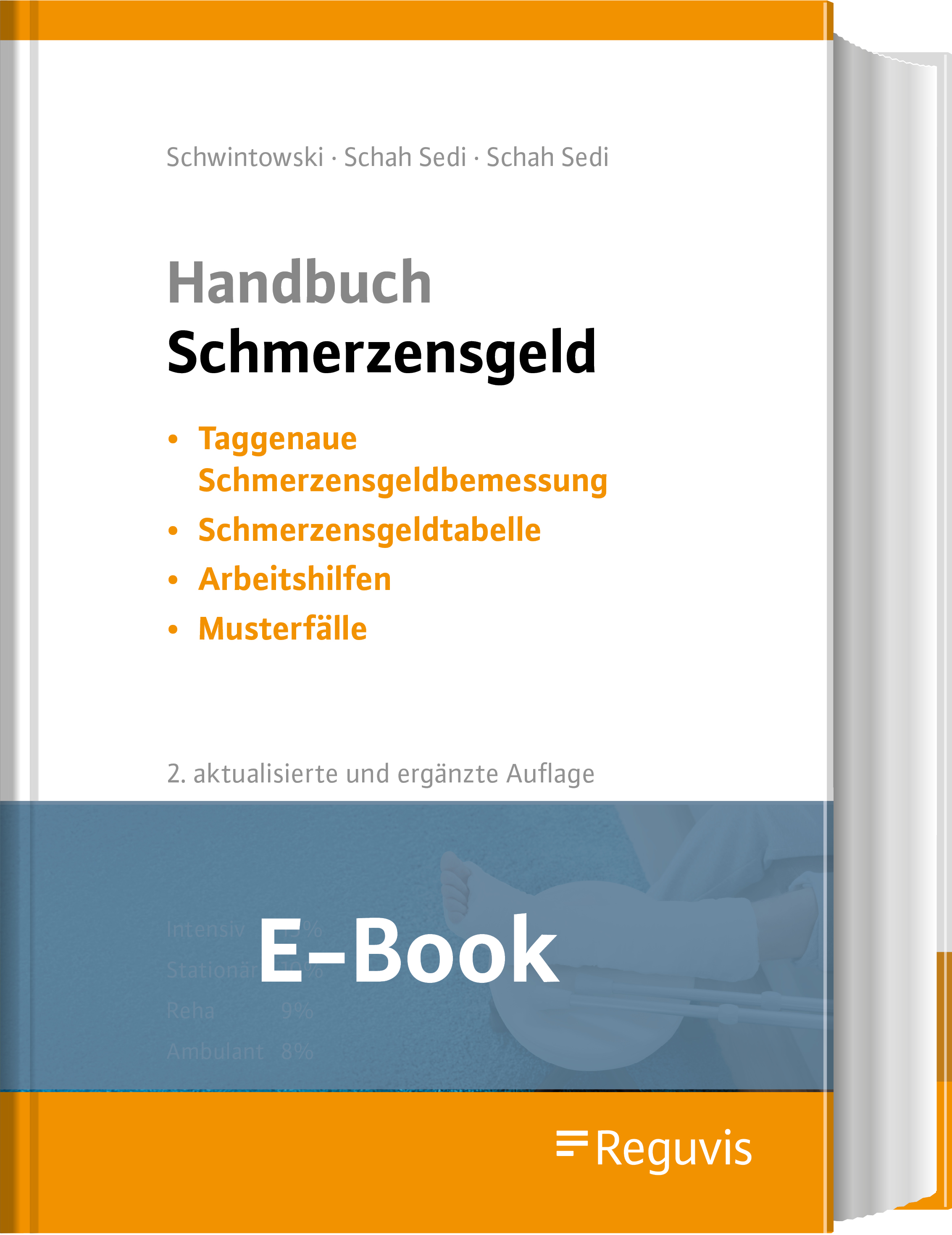 Handbuch Schmerzensgeld (E-Book)