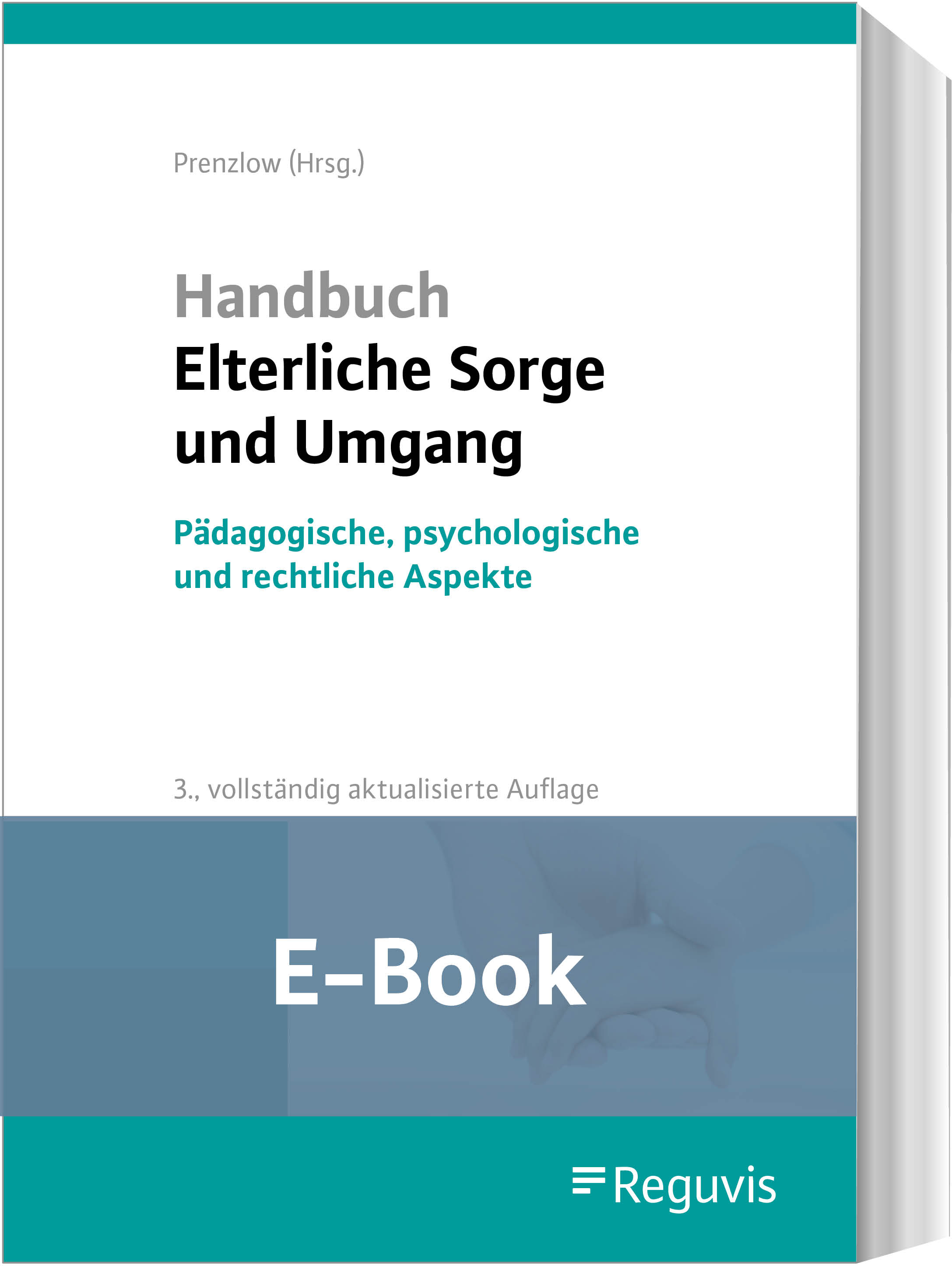 Prenzlow (Hg.); Handbuch Elterliche Sorge und Umgang E-Book