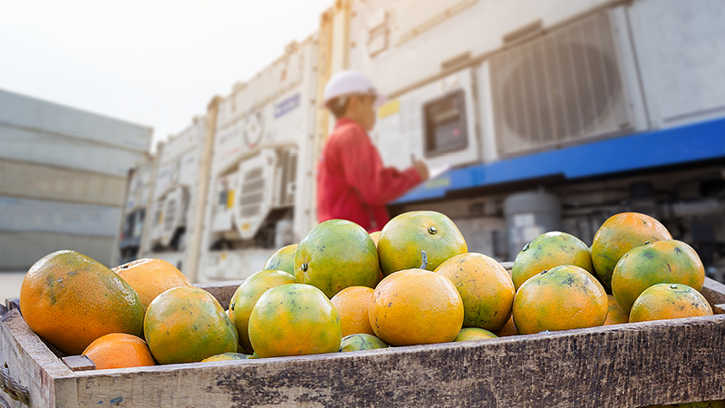 281196376-zolltarif-einreihung-von-lebensmitteln 281196376-zolltarif-einreihung-von-lebensmitteln