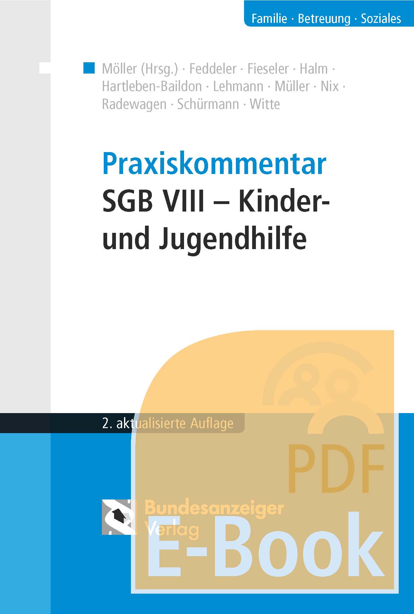 Praxiskommentar SGB VIII – Kinder- und Jugendhilfe (E-Book)