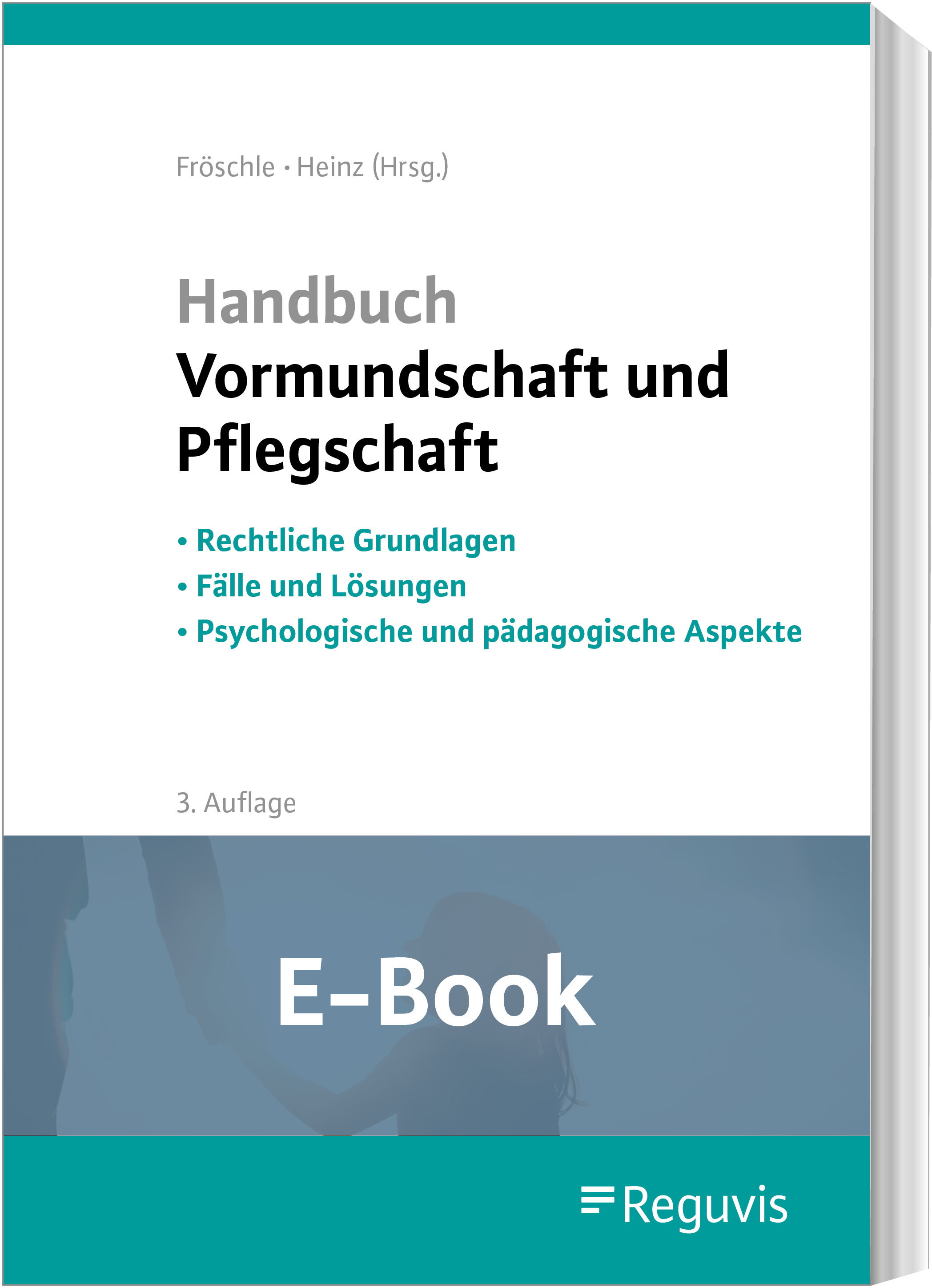 Handbuch Vormundschaft und Pflegschaft (E-Book)