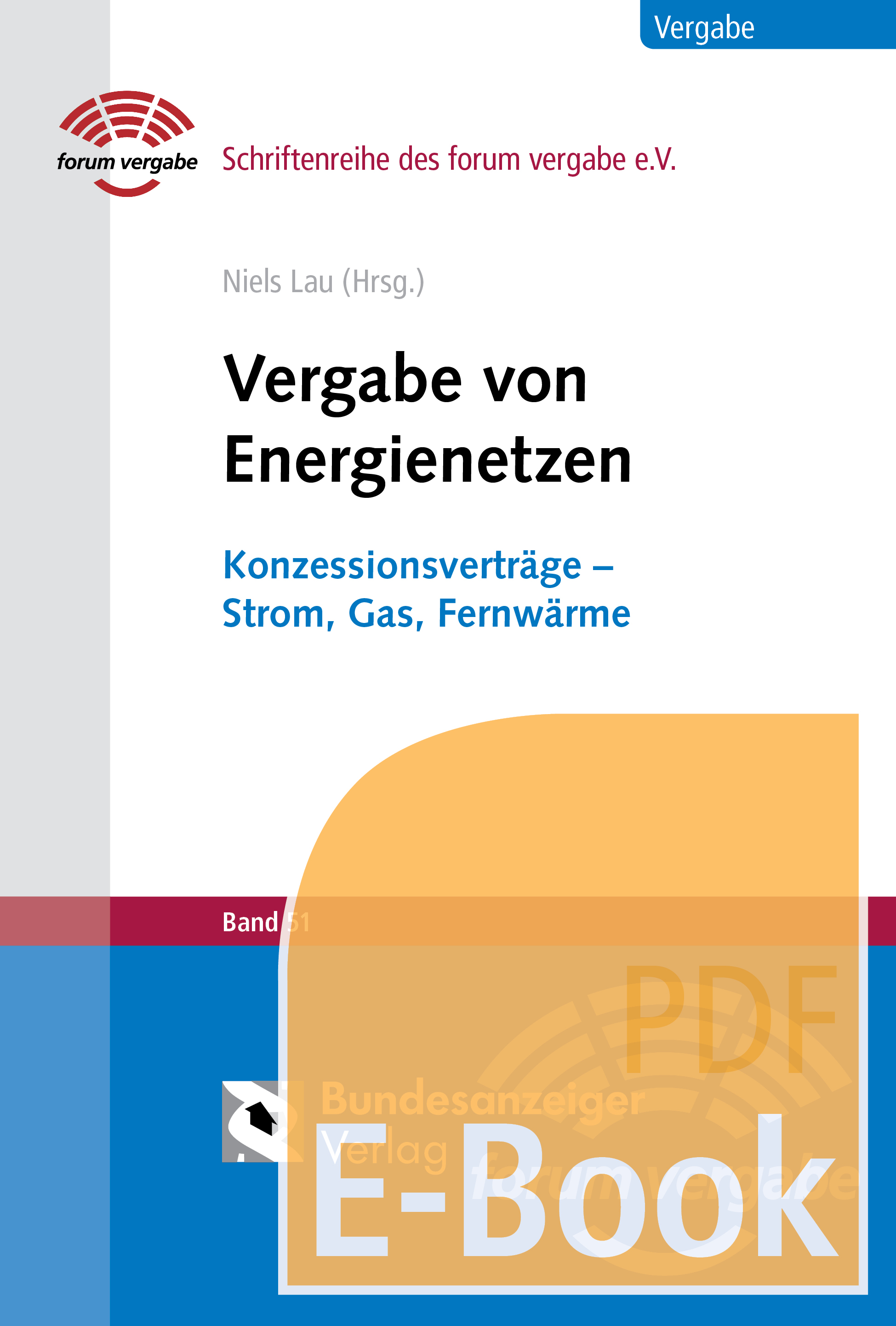 Vergabe von Energienetzen (E-Book)