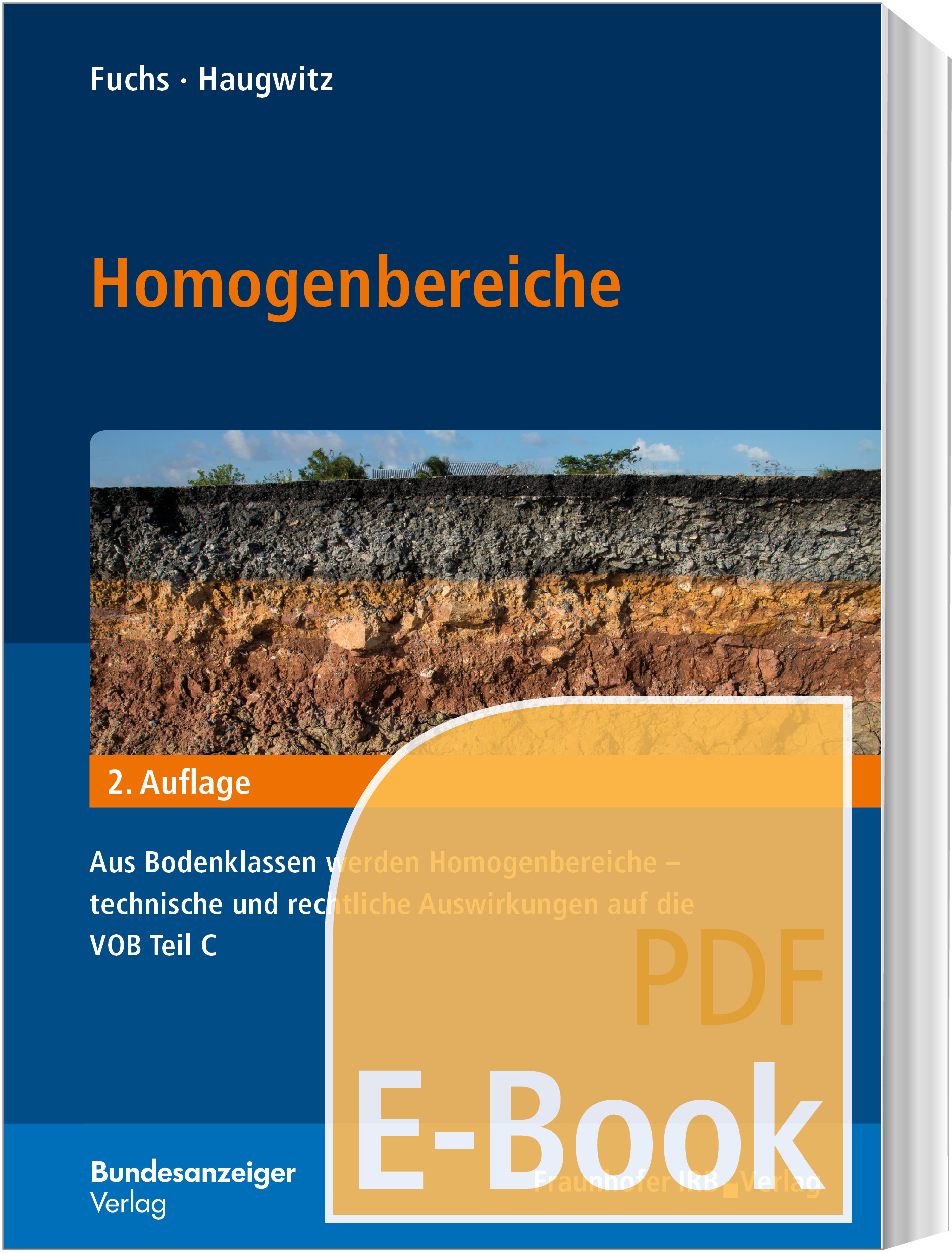 Homogenbereiche (E-Book)
