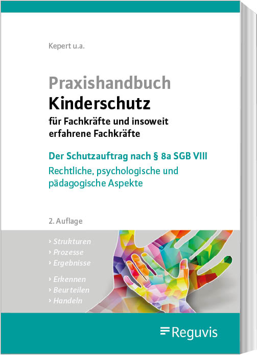 Praxishandbuch Kinderschutz für Fachkräfte und insoweit erfahrene Fachkräfte (E-Book)