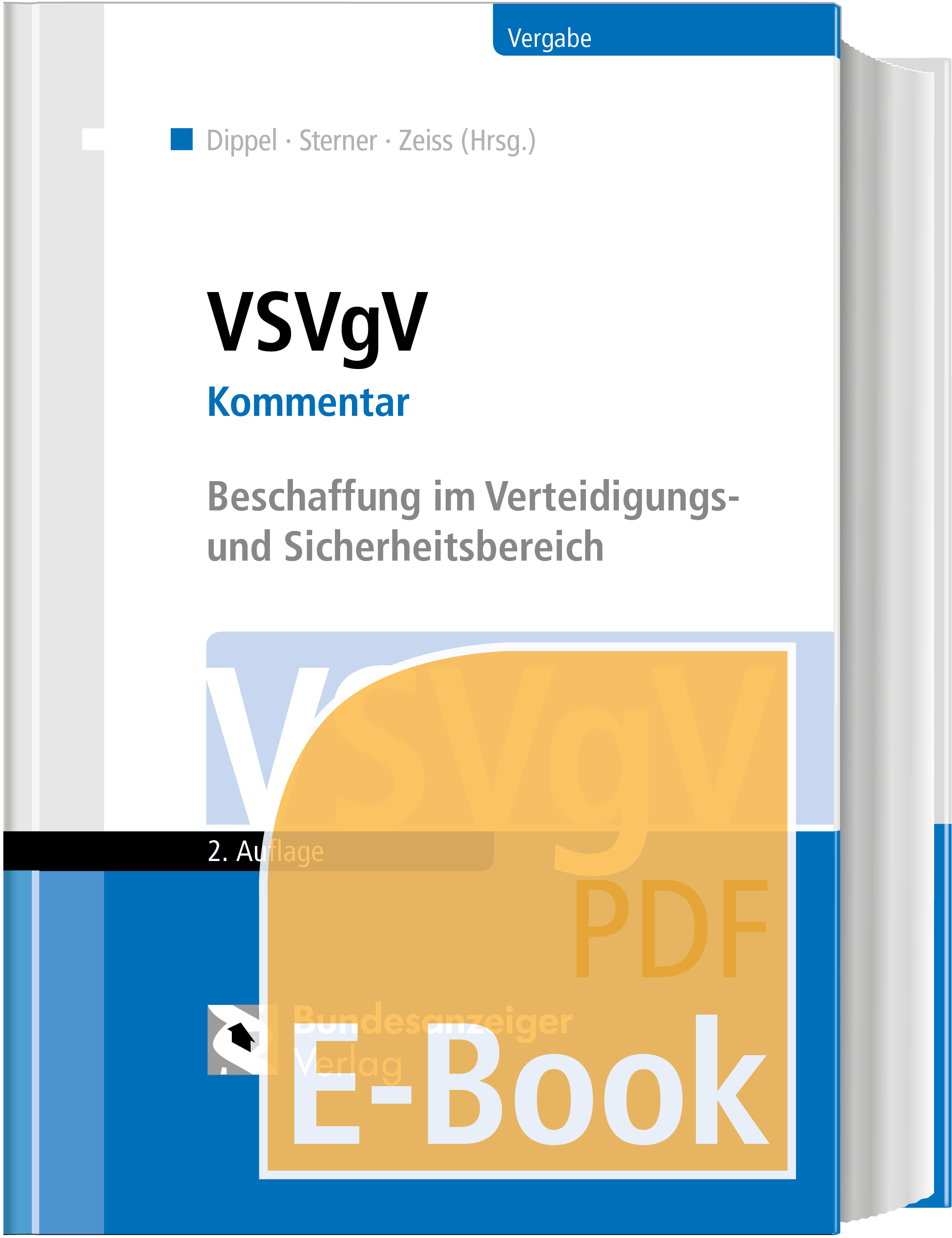 VSVgV (E-Book)